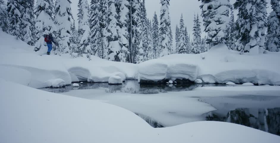A person skis next to a pond in a snowy forest