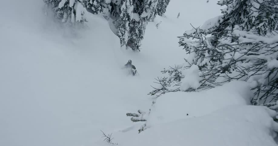 A person skis down a powdery treed hill