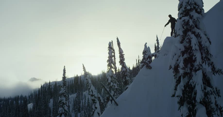Person wearing skis stands at top of steep slope near conifers