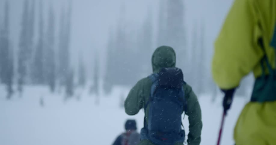 A group of skiers follow each other through the snow storm towards the trees