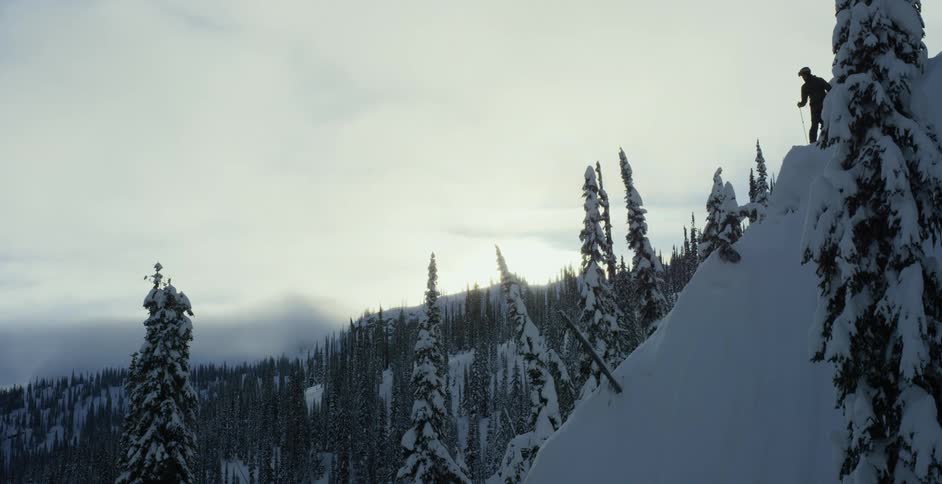 A skier stands on a steep slope in a forest