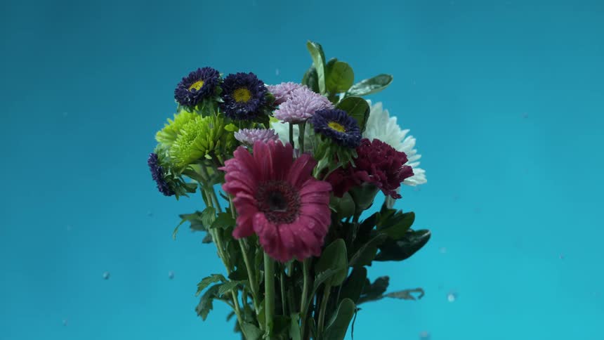 Drops of water falling around a bouquet of flowers spinning in slow motion