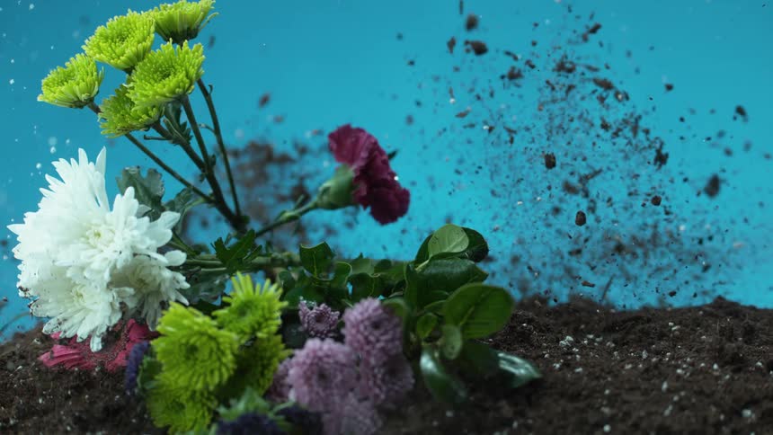 A bouquet of flowers falls to the ground