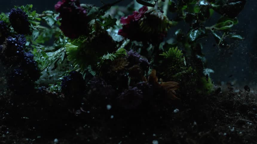 Flower bouquet falling on the ground and breaking