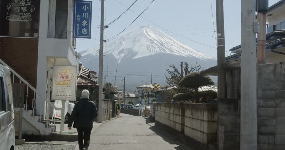 A town below a snowy mountain in an asian country