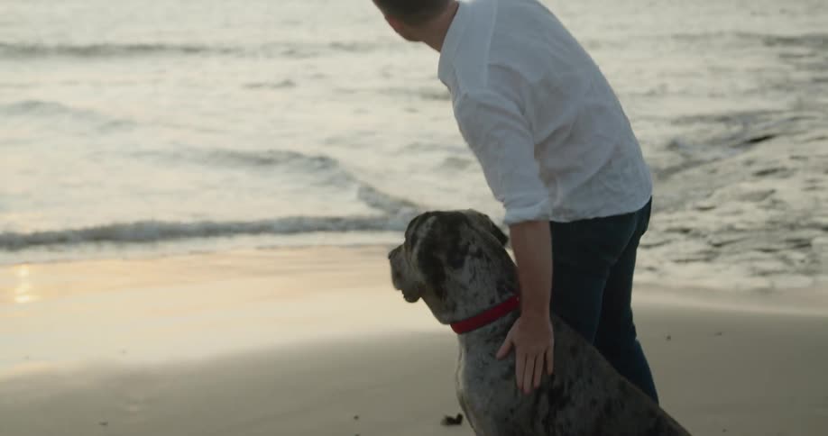 A white man and a dog on a beach