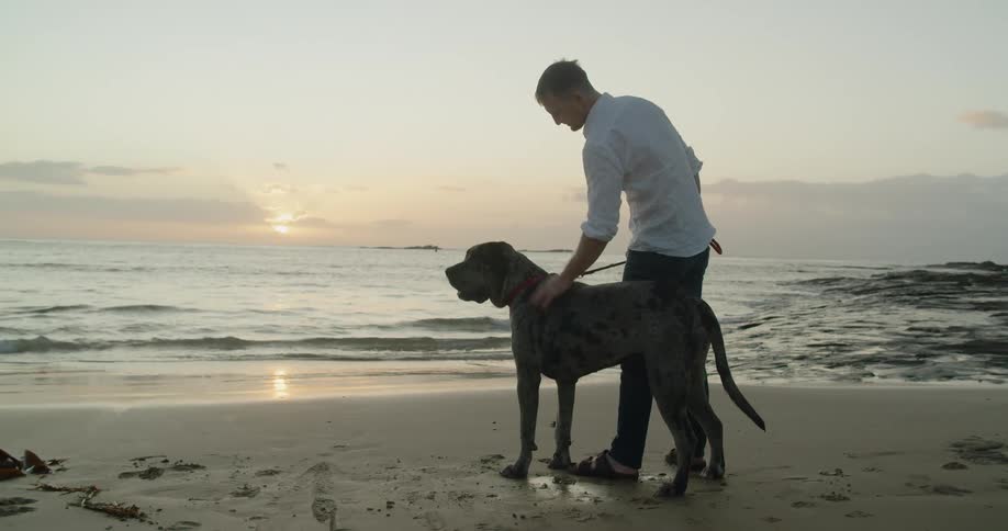 A man bends over to pet and rub his dog standing on leash on the beach at sunset