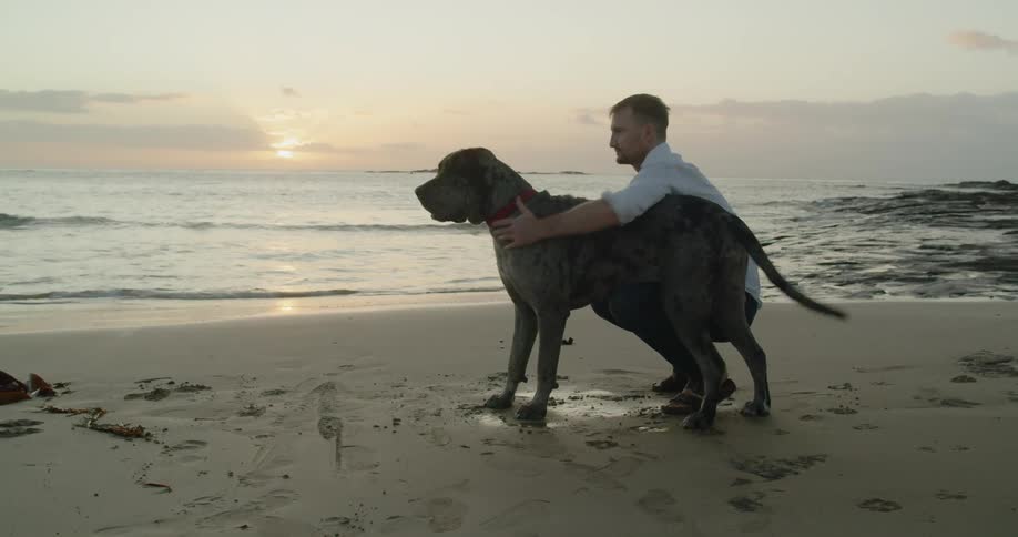 A man pets his dog on the beach