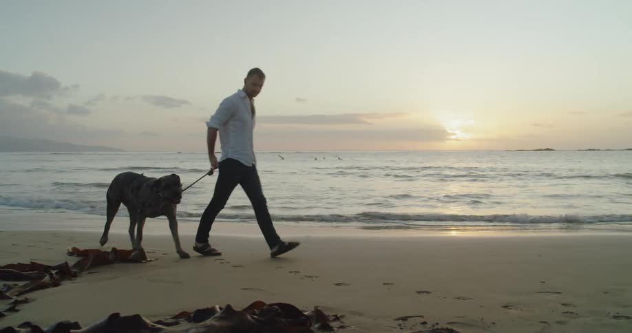 A man walks his dog along the beach