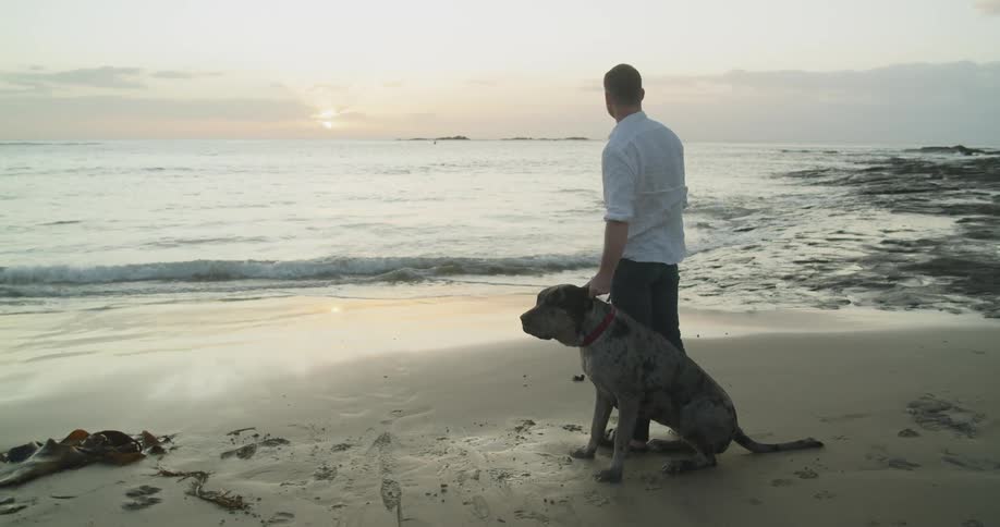 Man standing on the sand beach pets his dog at sunset next to the ocean