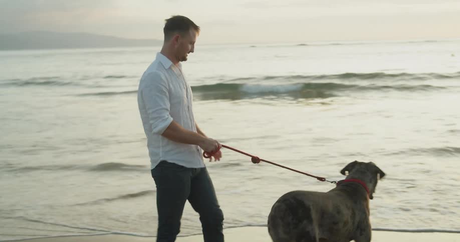 A dog gets up from a sit on the sand and walks on leash on the beach with his owner at sunset