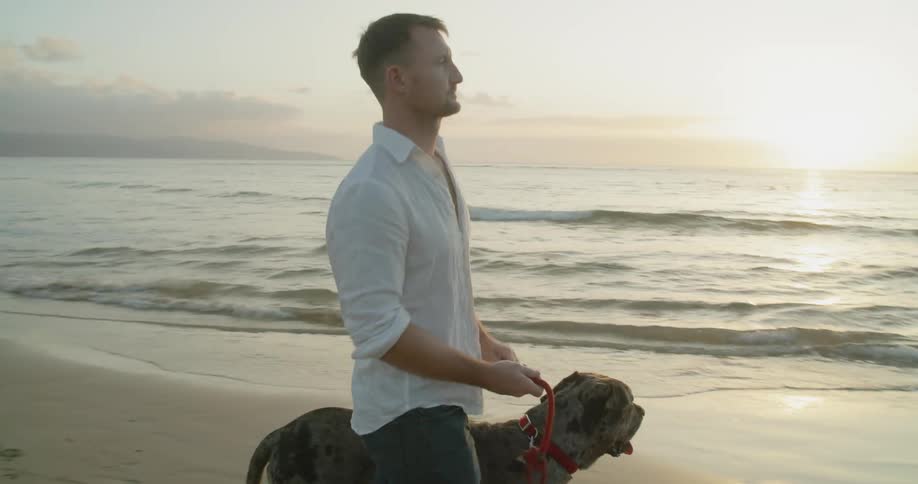 Man walks large dog along beach at sunset
