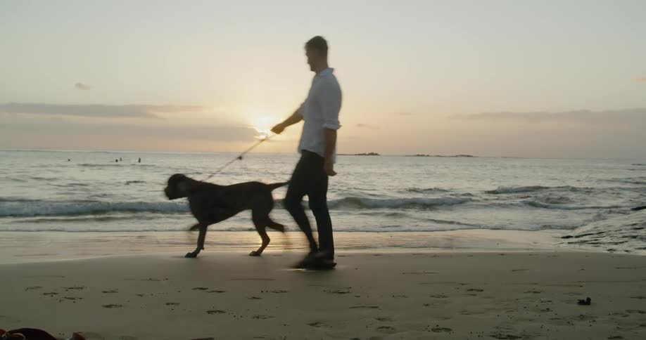 A white man walks a dog on the beach