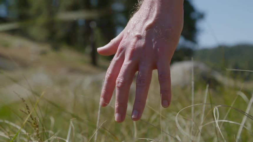A man is walking through a grassland area
