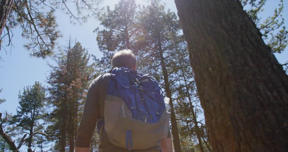 A man with a blue backpack hikes in a sunny forest