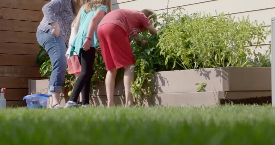 Family tending herb garden on backyard