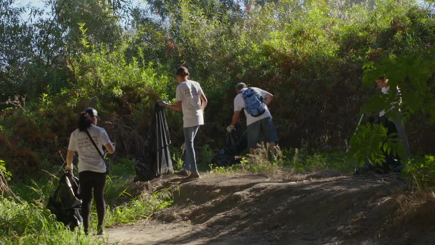 A group of four people picks up litter near a forest of trees