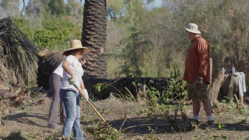 People rake vegetation in the dirt