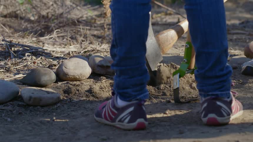 Woman drags garden tool through dirt