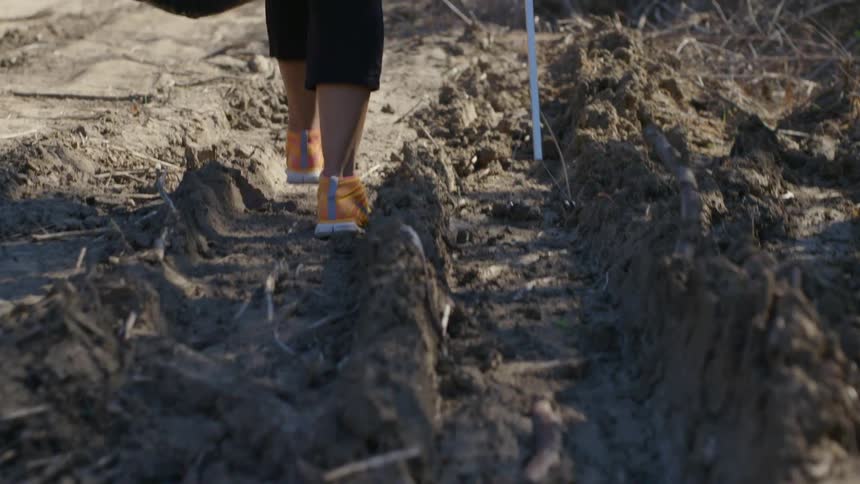 A person walks a pathway of a garden with a trash grabbing tool