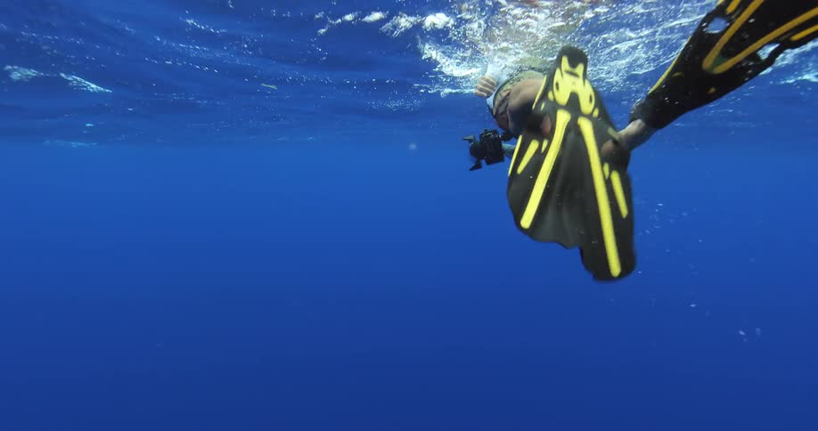 A snorkeler swims in the ocean
