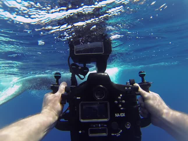 Underwater footage of a man filming a whale as it surfaces