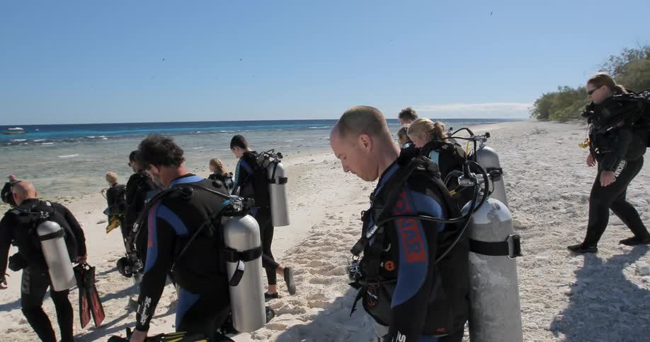 A group of scuba divers walk towards the water in full gear