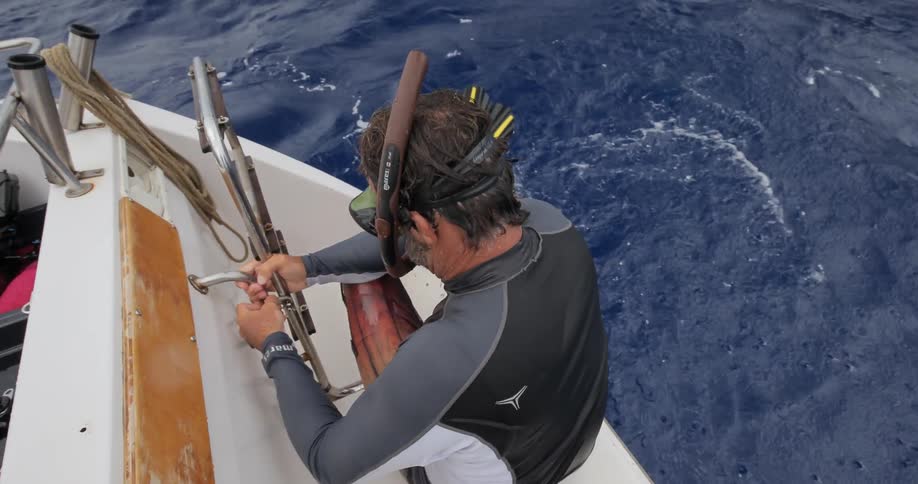 A snorkeler climbing onto the back of a boat, pulling up the ladder, removing his gear and joining another man on deck