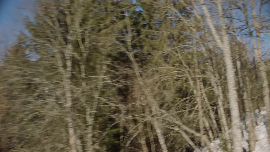 The hills are lined with trees and snow