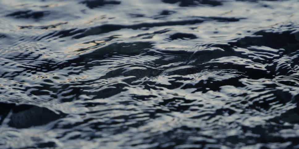 Open water ripples and reflects the sun