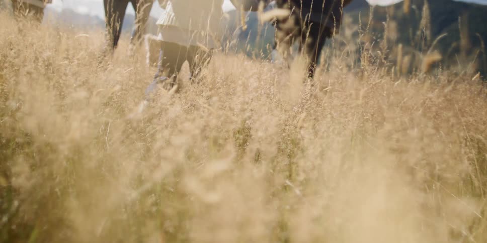 A family runs through a field