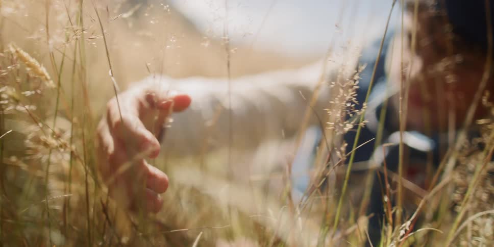Boy lying down on the ground touches grasses in the field
