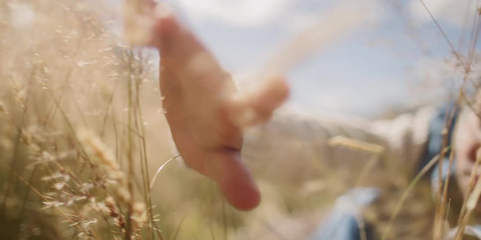Man runs his hands through a crop of wheat in a field