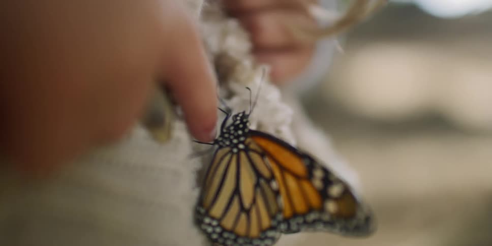 Woman touches a butterfly standing on the grey sweater