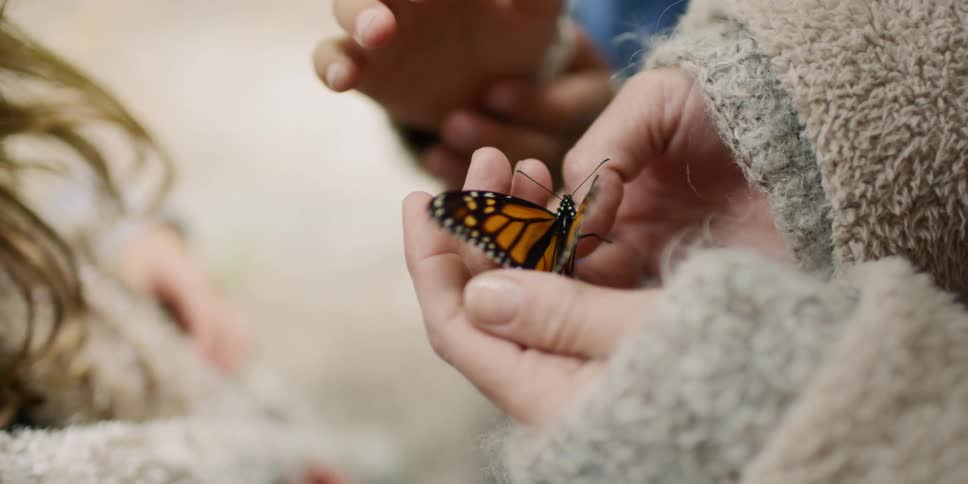 A woman holds a butterfly while children stand around her