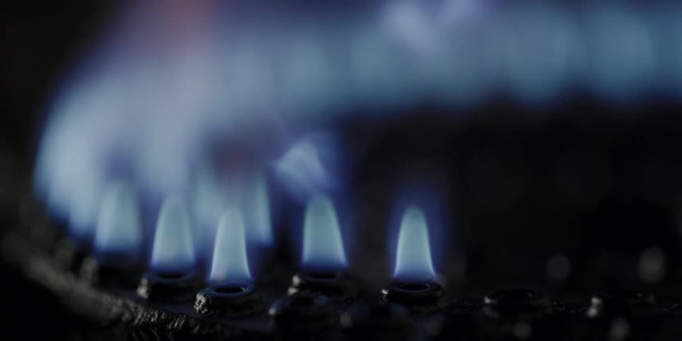 Blue flames flow around ring of burner as it is lit