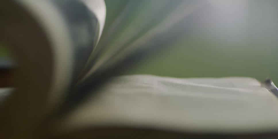 Pages of a book being flipped