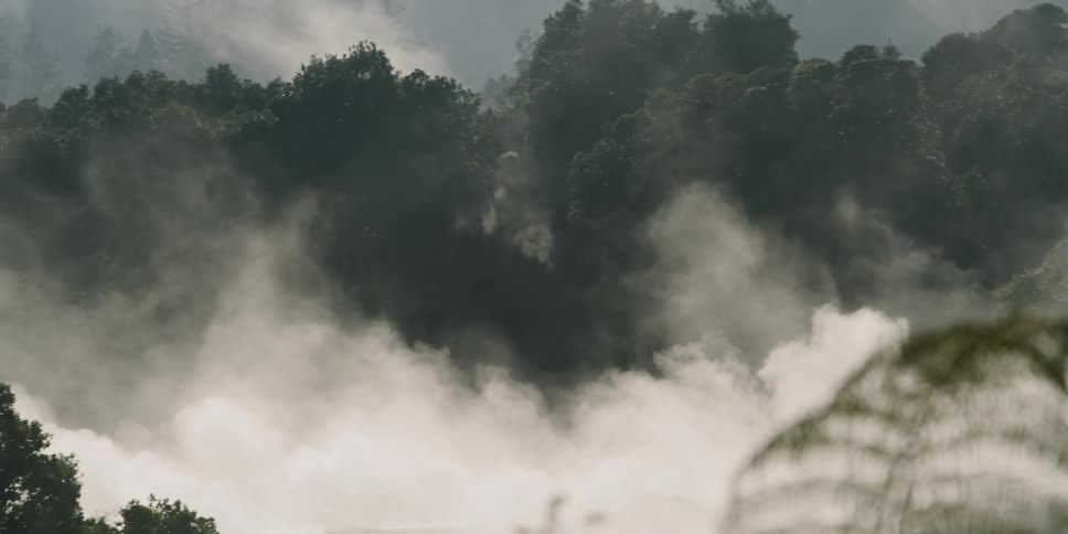 Flowing steam covers the ground in misty forest