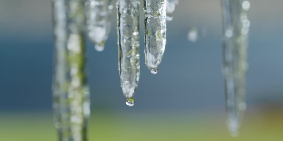Water drips down and off long hanging icicles
