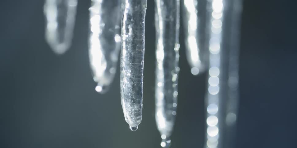 Water drips down icicles hanging in a row