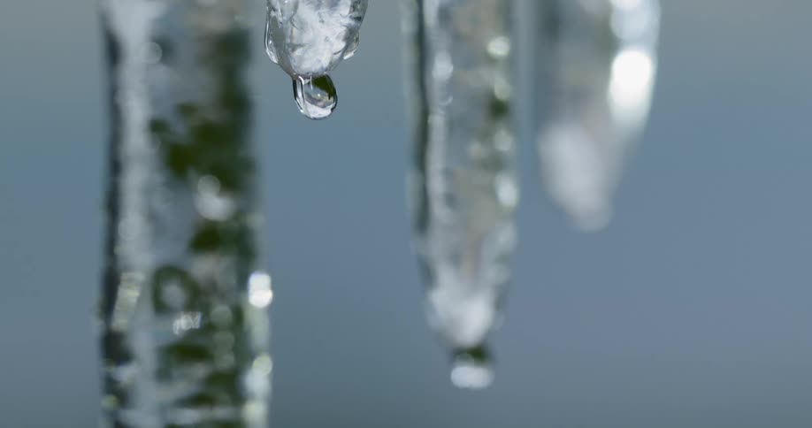 Icicles melt and the droplets drop slowly