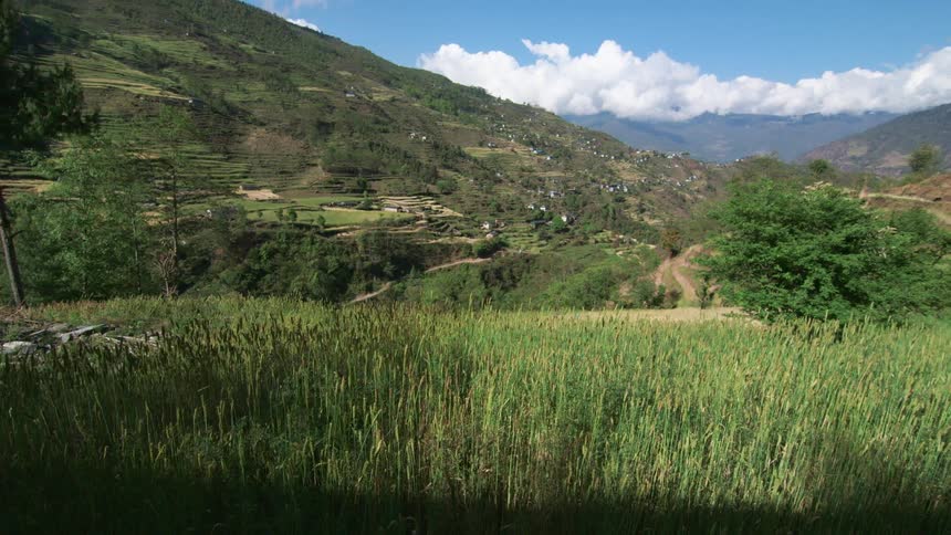 Town and tiered fields occupy mountain side