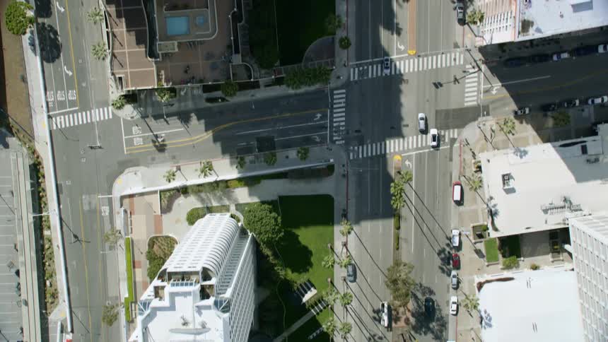 Aerial top down view of cars driving down an avenue with palm trees