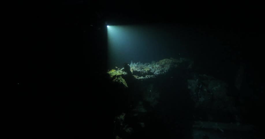 A flashlight shines on an ocean bed through pitch black