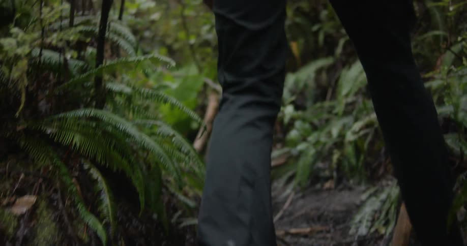 Person hikes along narrow rough muddy path in forest