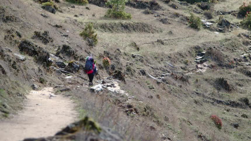 A person walking on a dirt path on the side of a hill