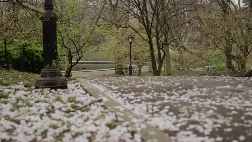 A light dusting of snow covers the ground in a public park