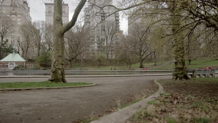 Empty central park in new york on a cloudy day