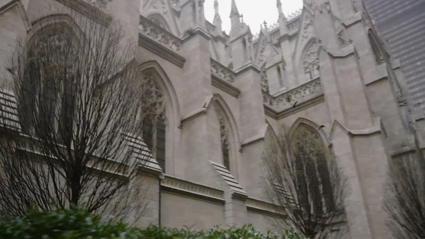 Birds fly past a cathedral in a city