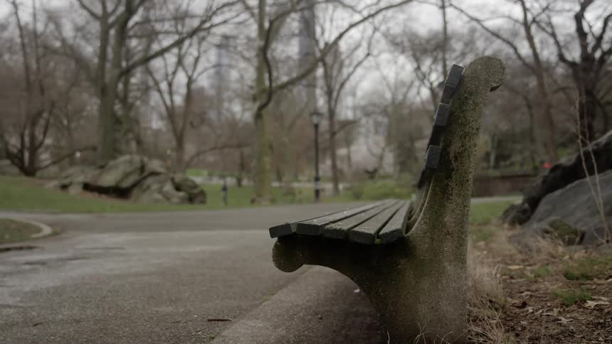 A park bench on the side of an empty park walkway